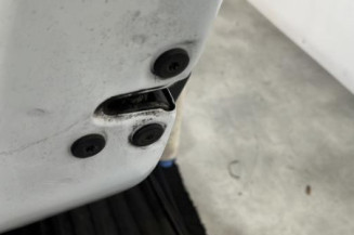 Porte arriere gauche DACIA SANDERO 2