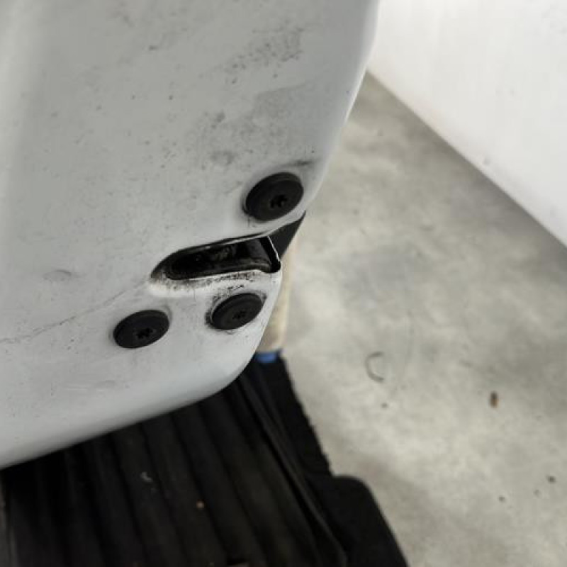 Porte arriere gauche DACIA SANDERO 2 Photo n°3