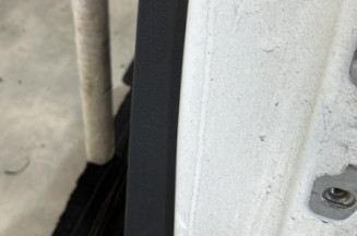 Porte arriere gauche DACIA SANDERO 2