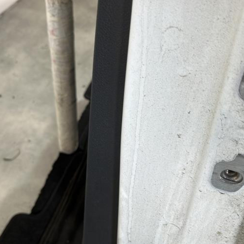 Porte arriere gauche DACIA SANDERO 2 Photo n°4