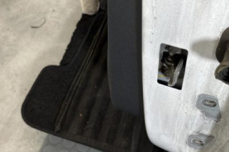 Porte arriere gauche DACIA SANDERO 2