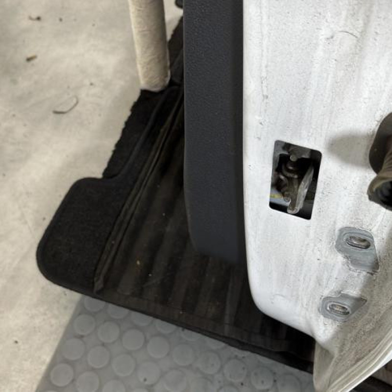 Porte arriere gauche DACIA SANDERO 2 Photo n°5