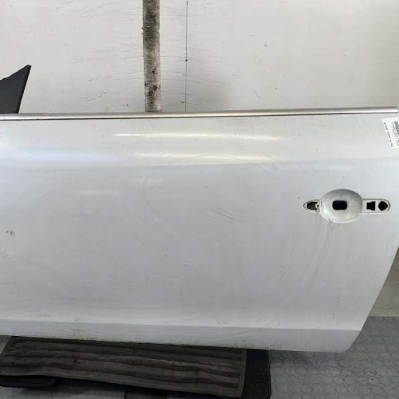 Porte avant gauche RENAULT MEGANE 3 Photo n°1