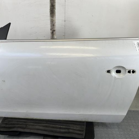 Porte avant gauche RENAULT MEGANE 3 Photo n°1