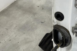 Porte avant gauche RENAULT MEGANE 3