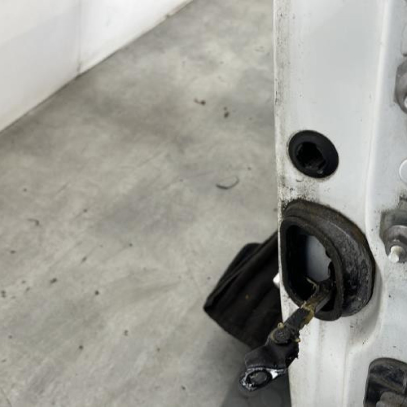 Porte avant gauche RENAULT MEGANE 3 Photo n°2