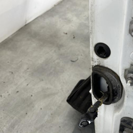 Porte avant gauche RENAULT MEGANE 3