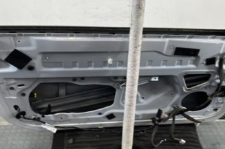 Porte avant gauche RENAULT MEGANE 3