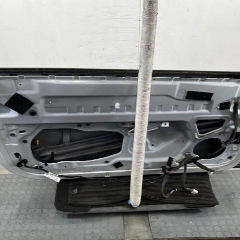 Porte avant gauche RENAULT MEGANE 3 Photo n°4