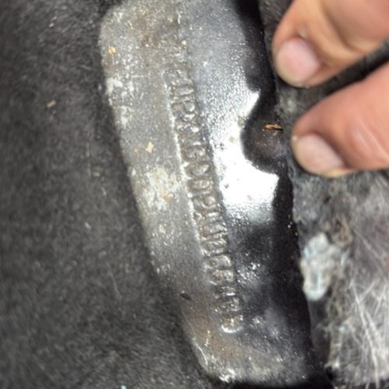 Cremaillere assistee FORD FOCUS 2 Photo n°17