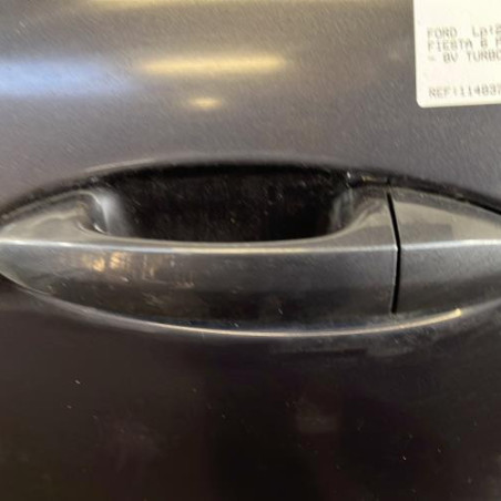 Porte arriere gauche FORD FIESTA 6