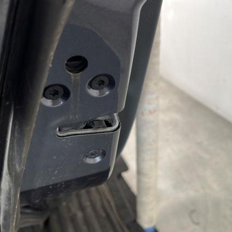 Porte arriere gauche FORD FIESTA 6 Photo n°3