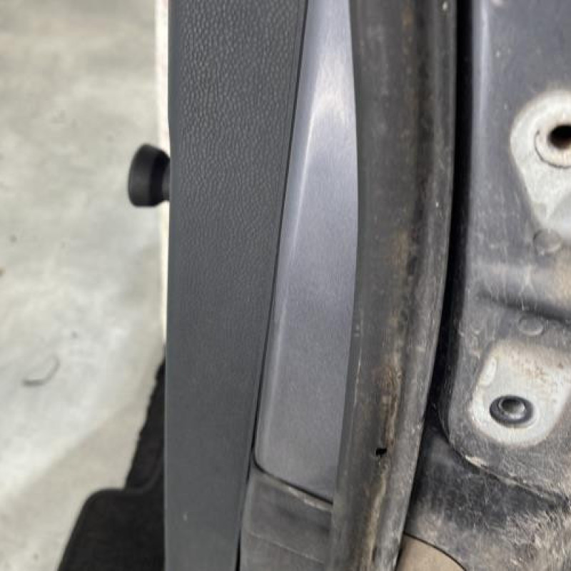 Porte arriere gauche FORD FIESTA 6 Photo n°4