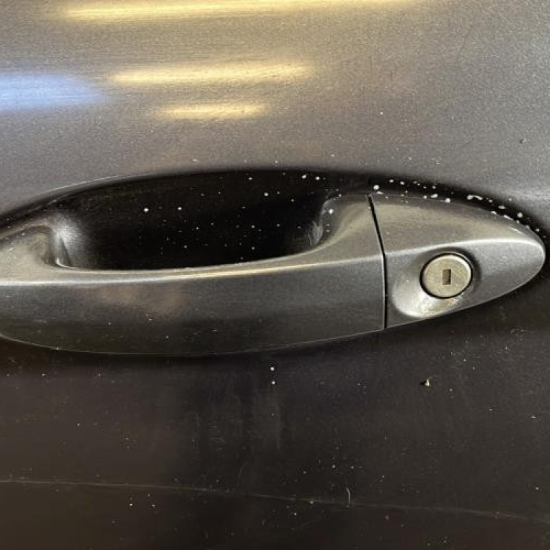 Porte avant gauche FORD FIESTA 6 Photo n°2