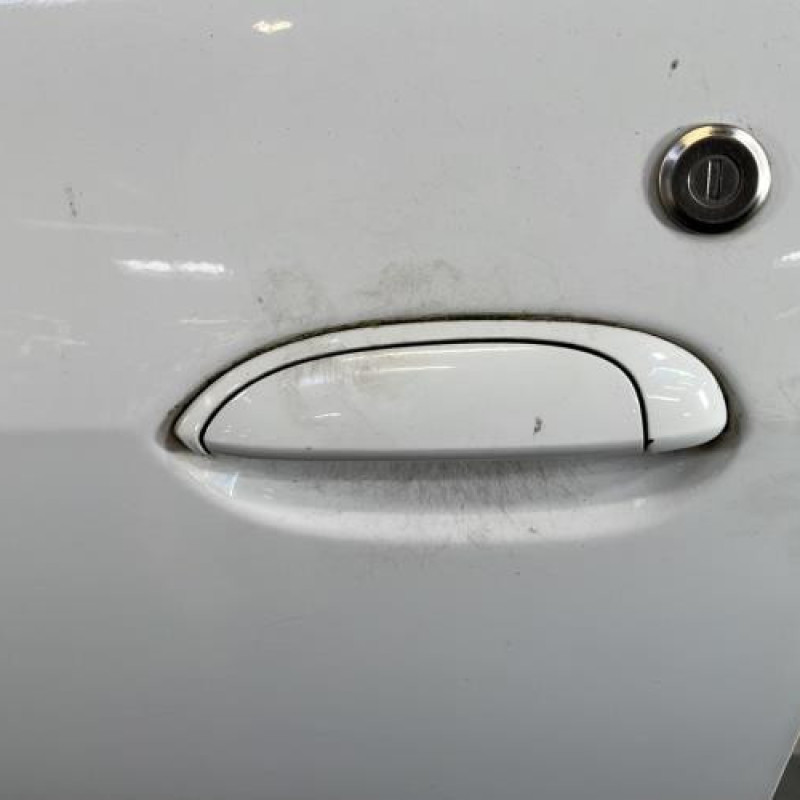 Porte avant gauche DACIA LOGAN MCV 1 Photo n°2