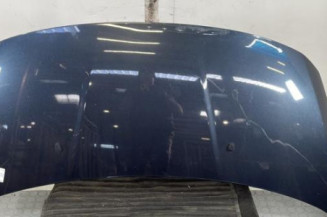 Capot PEUGEOT 3008 1 Photo n°1