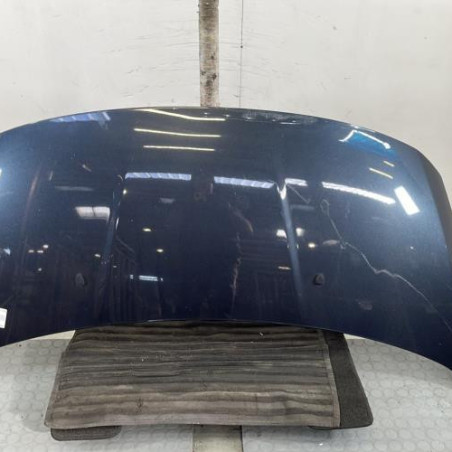 Capot PEUGEOT 3008 1 Photo n°1