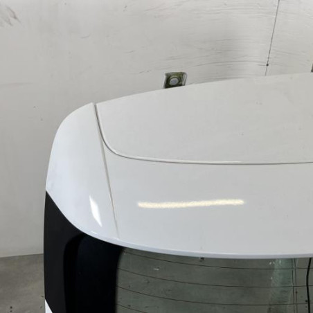 Malle/Hayon arriere RENAULT CLIO 5