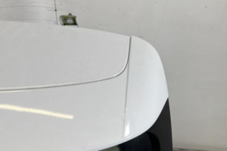 Malle/Hayon arriere RENAULT CLIO 5