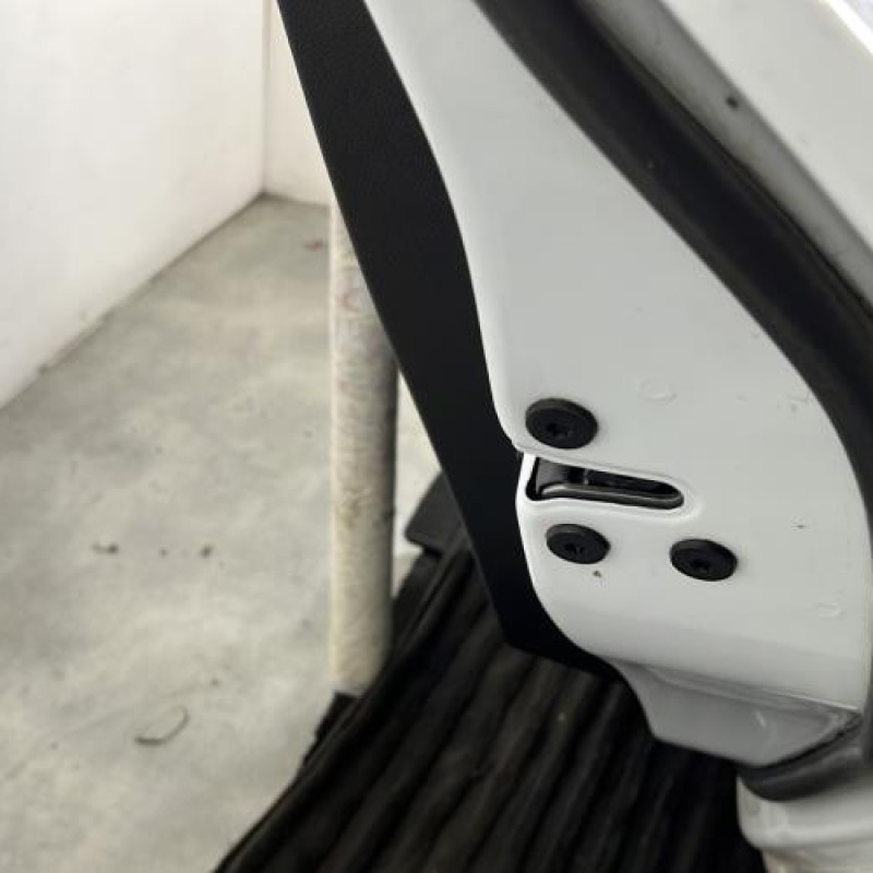 Porte arriere droit RENAULT CLIO 5 Photo n°3