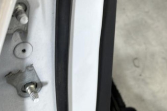 Porte arriere droit RENAULT CLIO 5