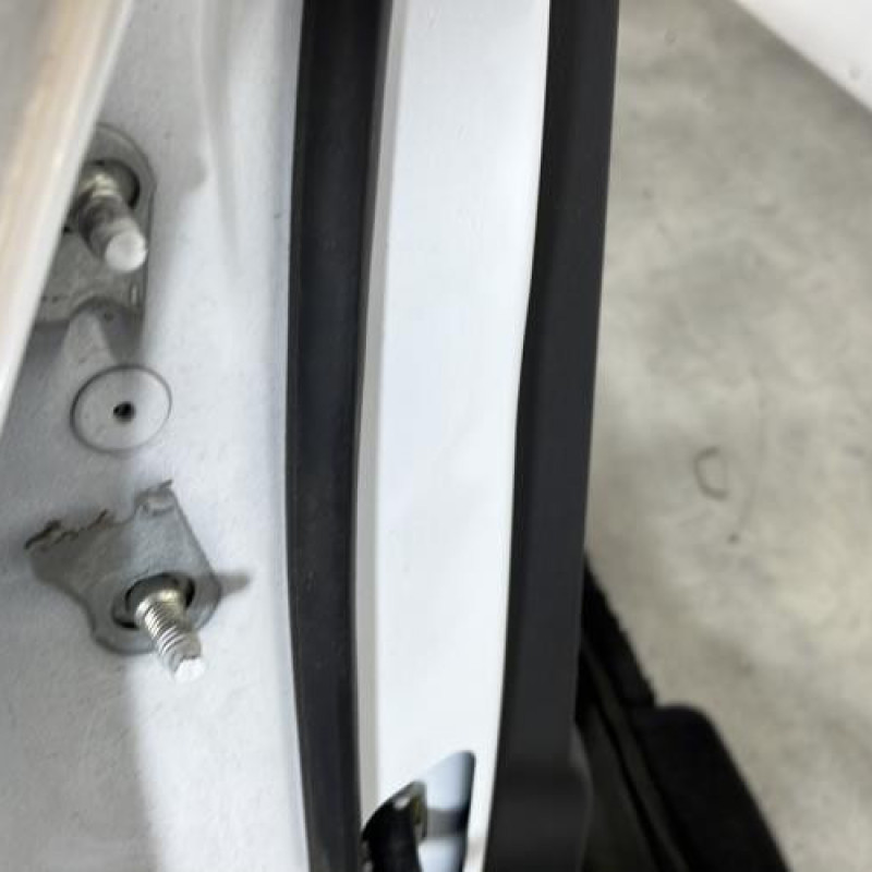 Porte arriere droit RENAULT CLIO 5 Photo n°4