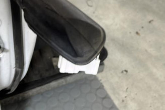 Porte arriere droit RENAULT CLIO 5