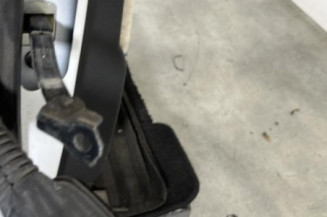 Porte arriere droit RENAULT CLIO 5