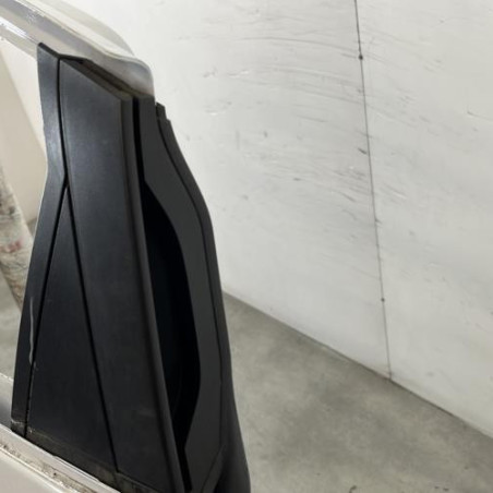 Porte arriere gauche RENAULT CLIO 5