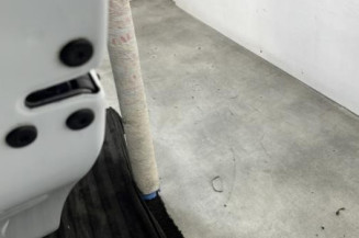 Porte arriere gauche RENAULT CLIO 5