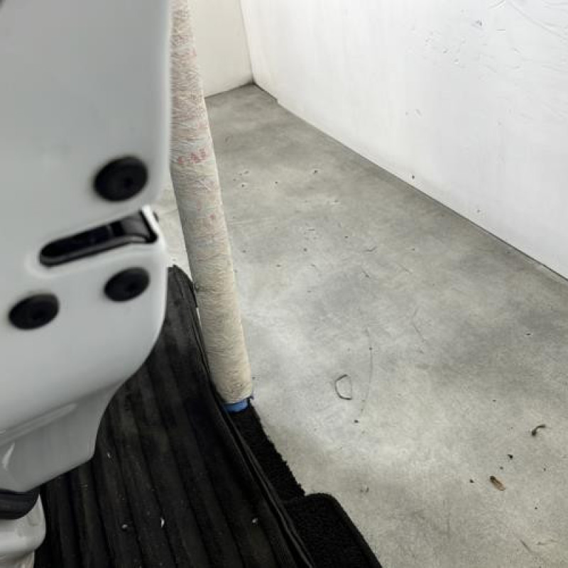 Porte arriere gauche RENAULT CLIO 5 Photo n°3