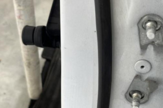 Porte arriere gauche RENAULT CLIO 5