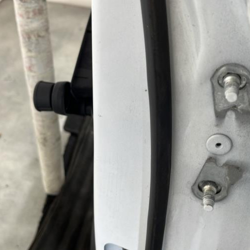 Porte arriere gauche RENAULT CLIO 5 Photo n°4