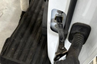 Porte arriere gauche RENAULT CLIO 5