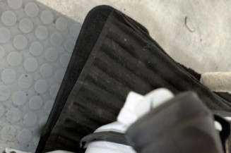 Porte arriere gauche RENAULT CLIO 5