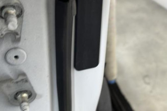 Porte avant droit RENAULT CLIO 5