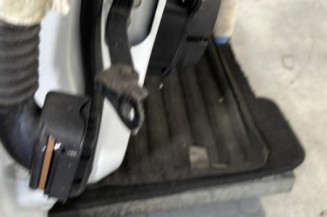 Porte avant droit RENAULT CLIO 5