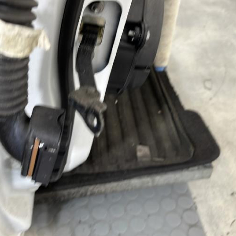 Porte avant droit RENAULT CLIO 5 Photo n°3