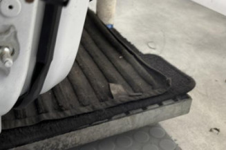 Porte avant droit RENAULT CLIO 5