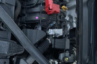 Bouton de coffre RENAULT CLIO 5