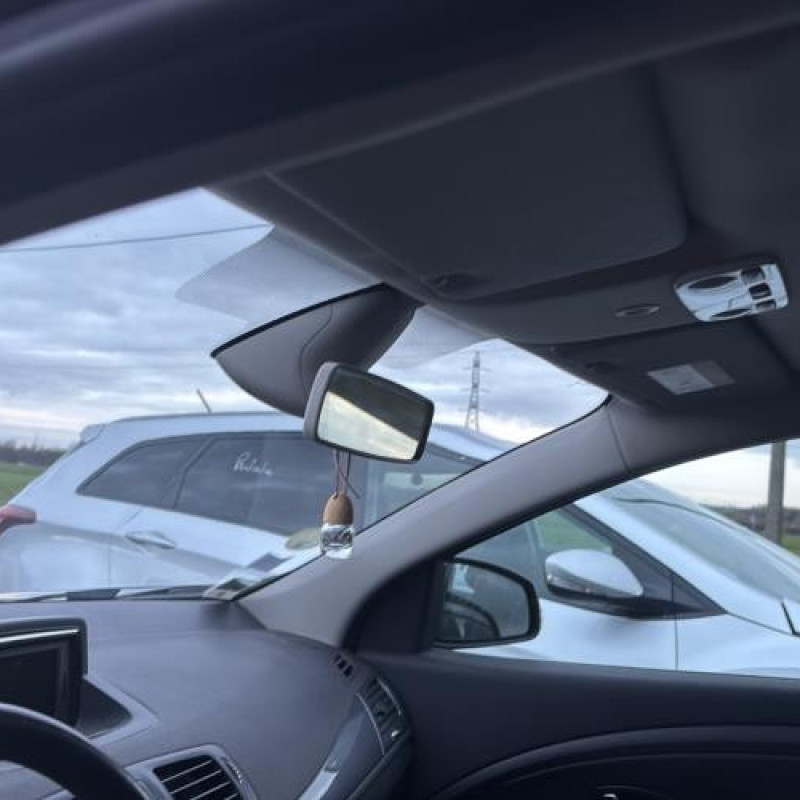 Mastervac RENAULT MEGANE 3 Photo n°14