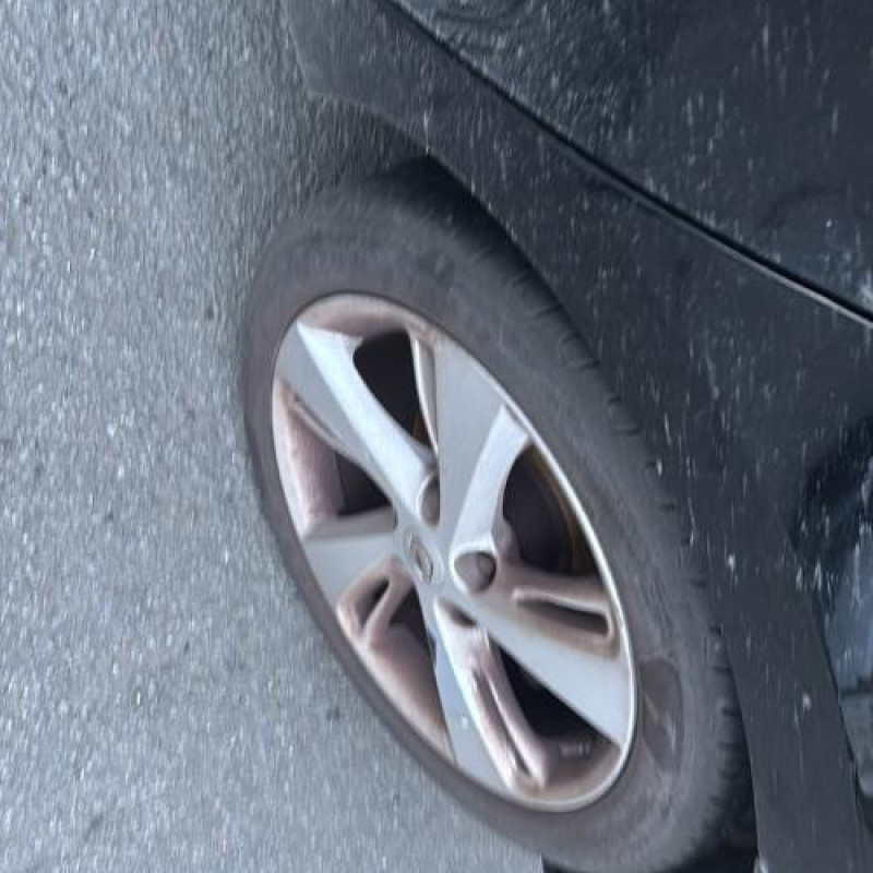 Mastervac RENAULT MEGANE 3 Photo n°20