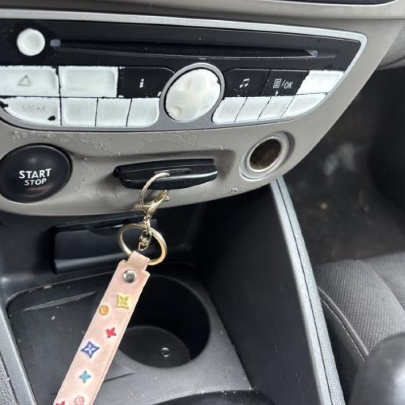 Mastervac RENAULT MEGANE 3 Photo n°18