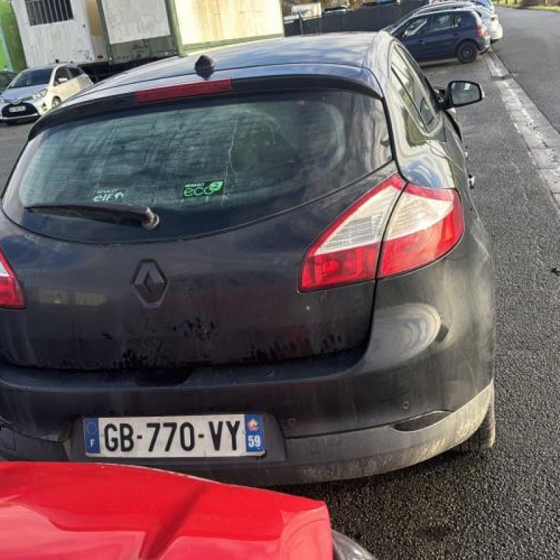 Mastervac RENAULT MEGANE 3 Photo n°6
