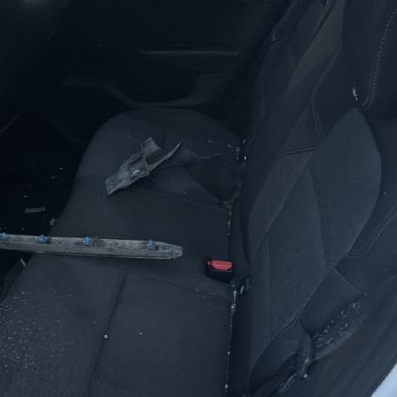 Custode avant gauche (porte) RENAULT CLIO 5 Photo n°18