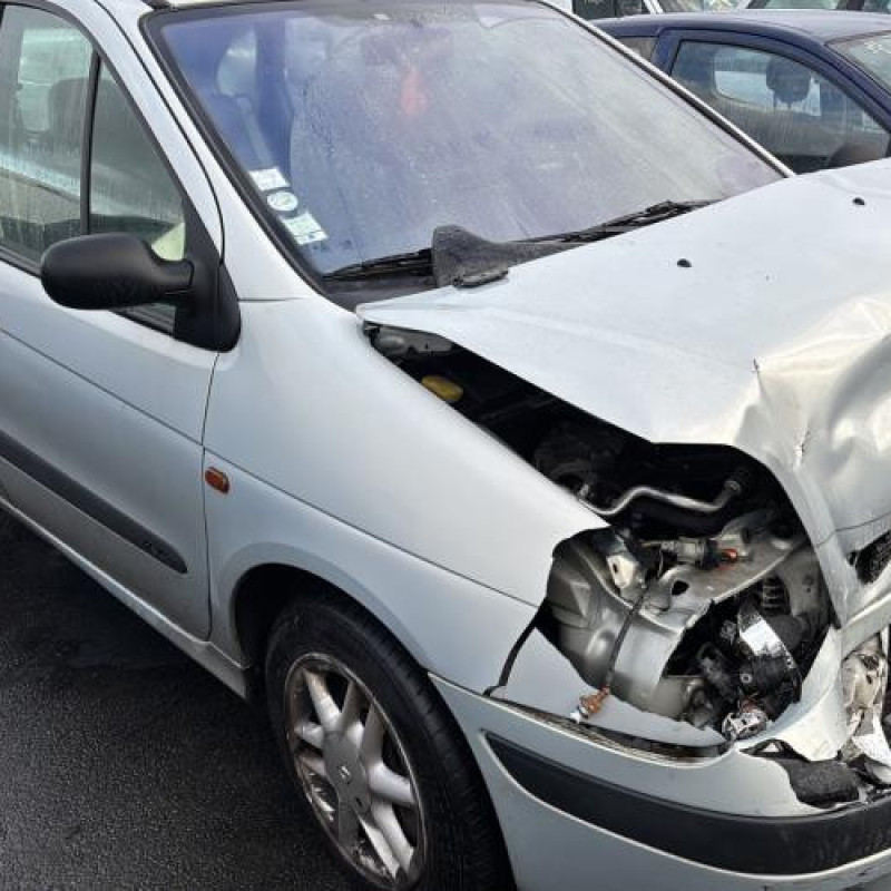 Custode arriere droit RENAULT SCENIC 1 Photo n°3