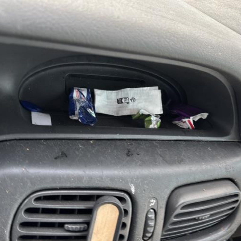 Custode arriere gauche RENAULT SCENIC 1 Photo n°16