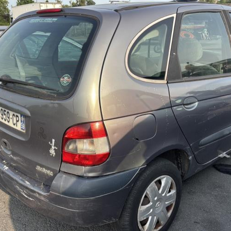 Custode arriere gauche RENAULT SCENIC 1 Photo n°3