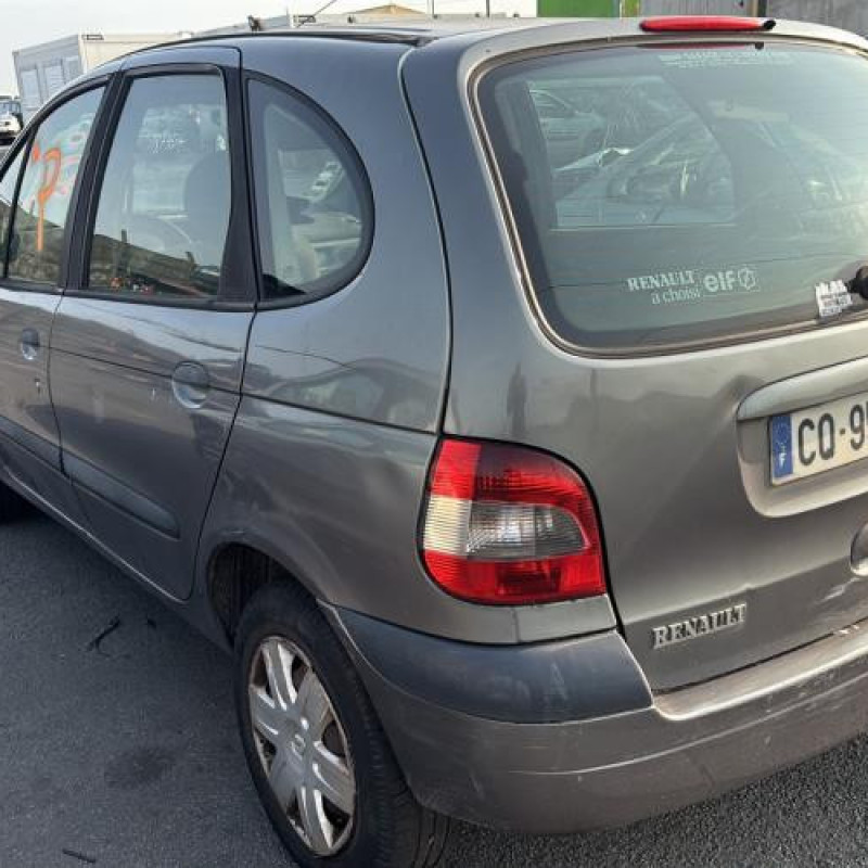 Custode arriere gauche RENAULT SCENIC 1 Photo n°4