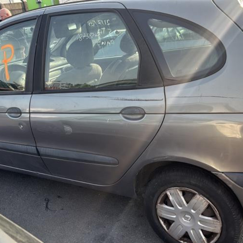 Custode arriere gauche RENAULT SCENIC 1 Photo n°6